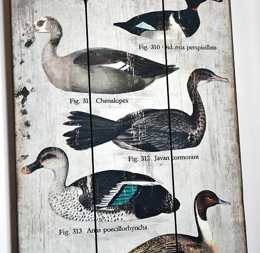 Particulier - La Chamoiserie Hotel